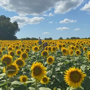Meet your Posher, Caci